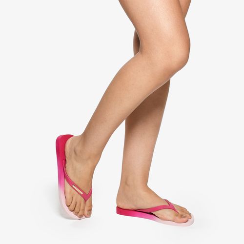 Flat Rosa Pink Degrade Jorge Bischoff