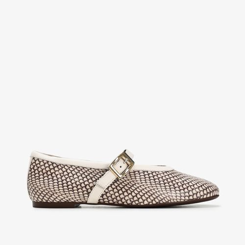 Sapatilha Marrom Terroir Snake Couro