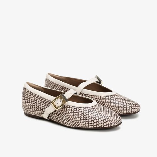 Sapatilha Marrom Terroir Snake Couro